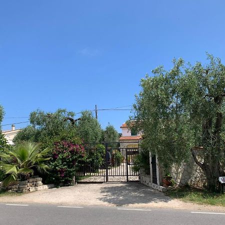 Villa Monica Appartamenti Vieste Kültér fotó