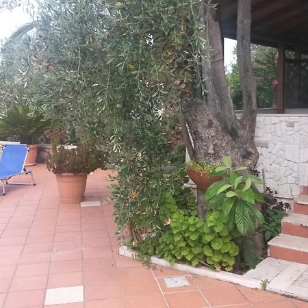 Villa Monica Appartamenti Vieste Kültér fotó