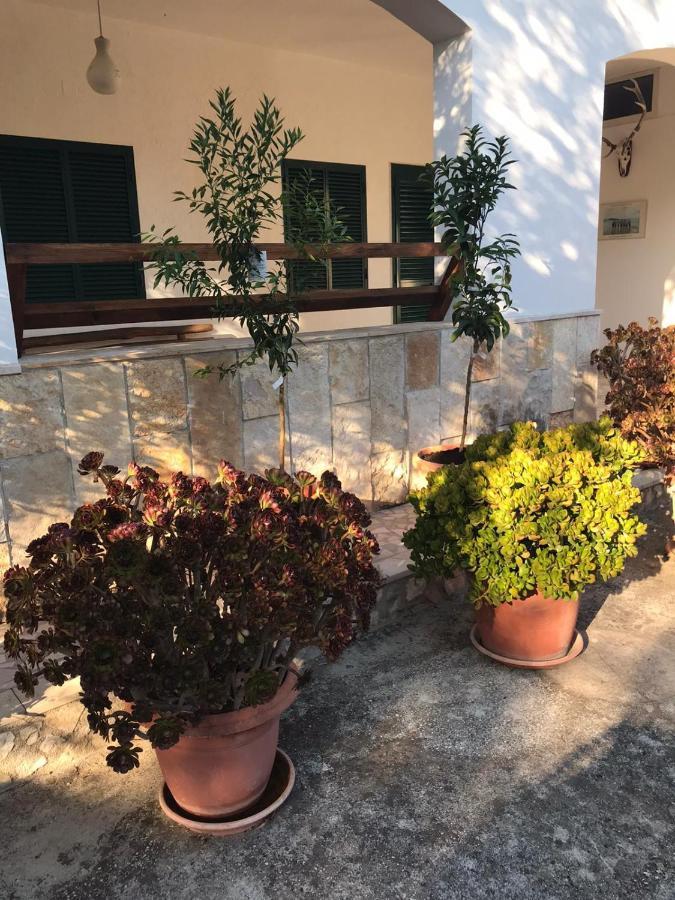 Villa Monica Appartamenti Vieste Kültér fotó