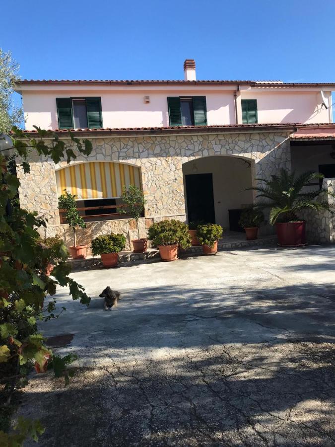 Villa Monica Appartamenti Vieste Kültér fotó