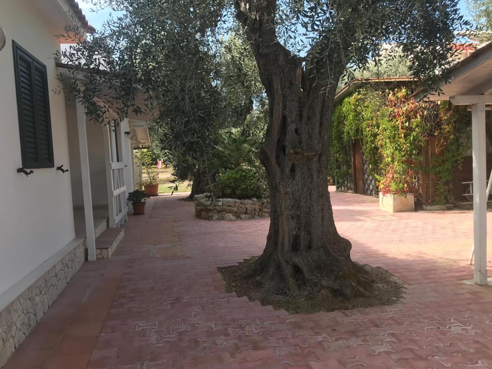 Villa Monica Appartamenti Vieste Kültér fotó