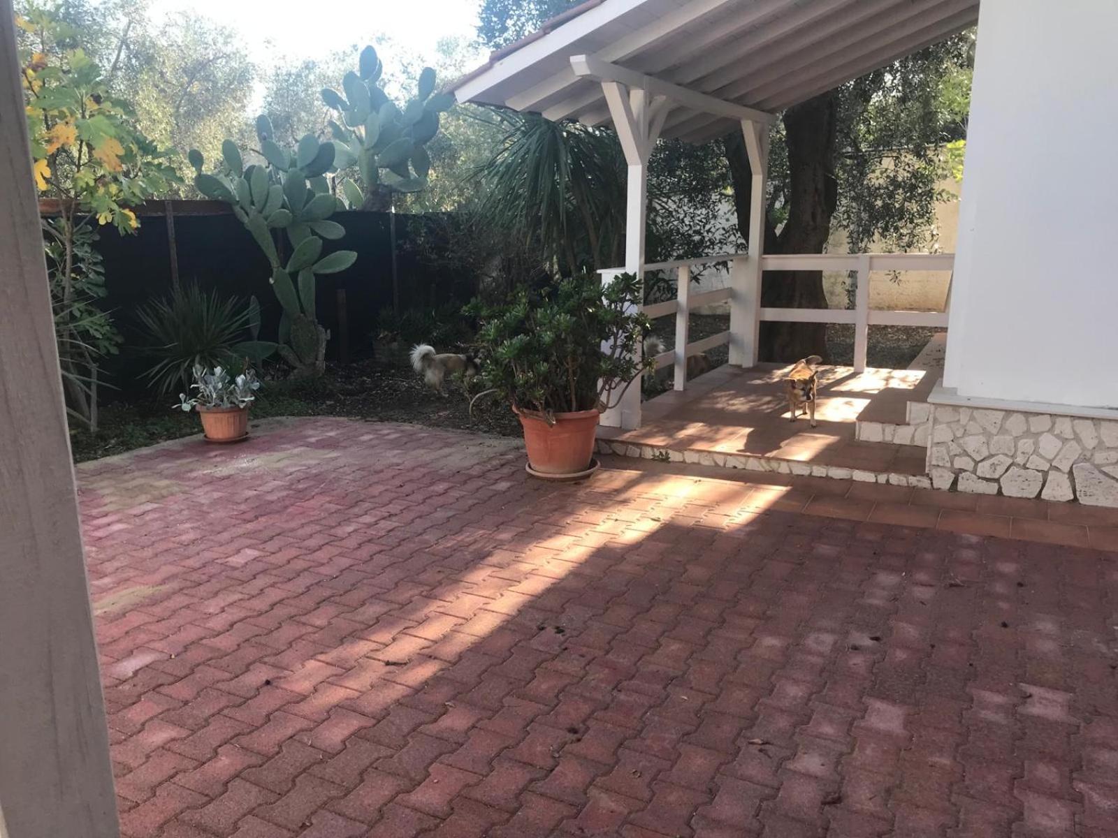 Villa Monica Appartamenti Vieste Kültér fotó