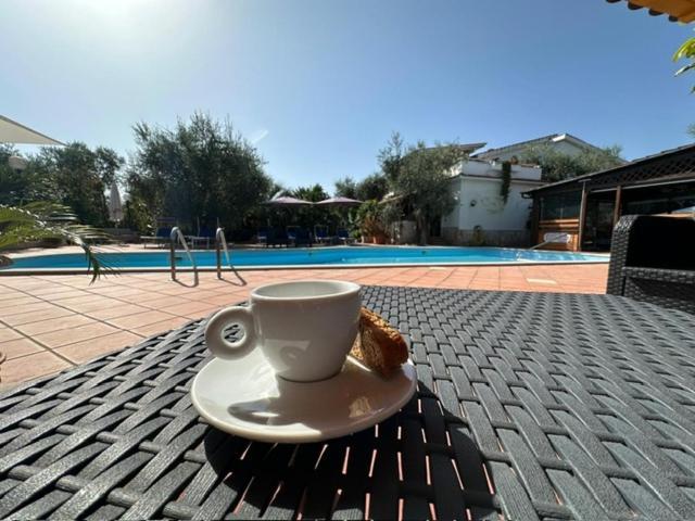 Villa Monica Appartamenti Vieste Kültér fotó